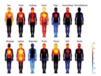 mapa-dejstva-emocija-na-telo-ljubav-nam-daje-toplinu