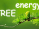 Energy-of-trees