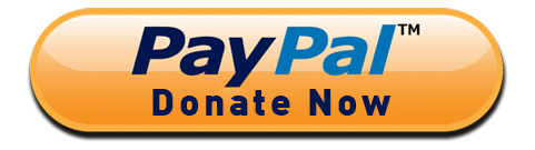 donate_paypal